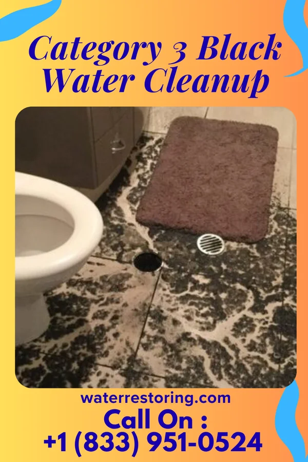 Category 3 Black Water Cleanup in Munson, FL