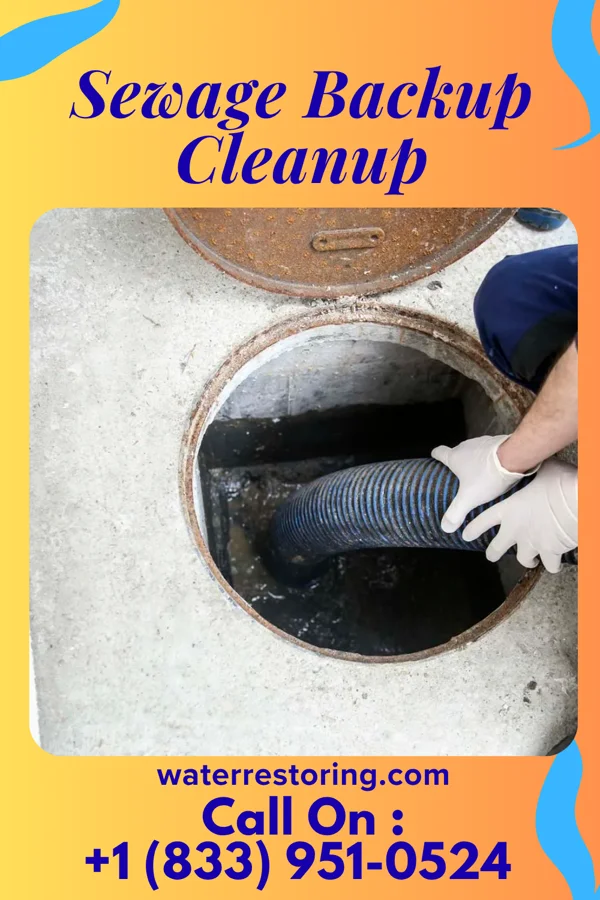 Sewage Backup Cleanup in Munson, FL